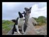 dsc06498_small.jpg