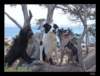 dsc06596_small.jpg