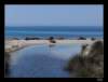 dsc06649_small.jpg