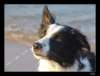 dsc06445_small.jpg