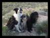 dsc06463_small.jpg