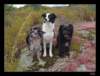dsc06489_small.jpg