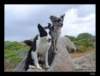 dsc06498_small.jpg
