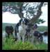 dsc06532_small.jpg