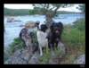 dsc06541_small.jpg