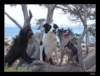 dsc06596_small.jpg