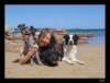 dsc06621_small.jpg