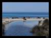 dsc06649_small.jpg
