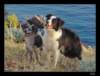 dsc06658_small.jpg