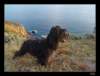 dsc06661_small.jpg