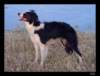 dsc06670_small.jpg