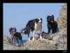 dsc06677_small.jpg