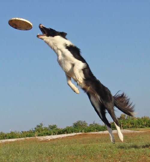 summer04.jpg