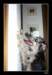 triki39_small.jpg