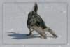 vajnez_feb148_small.jpg