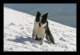 winter01_small.jpg