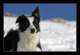 winter02_small.jpg