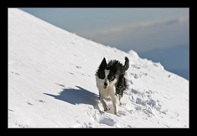 winter04.jpg