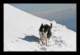winter04_small.jpg