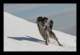 winter05_small.jpg