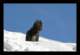 winter06_small.jpg