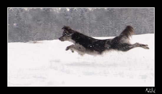 winter09.jpg