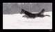 winter09_small.jpg