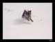 winter10_small.jpg