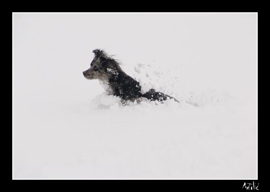 winter11.jpg
