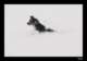 winter11_small.jpg