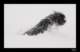 winter13_small.jpg